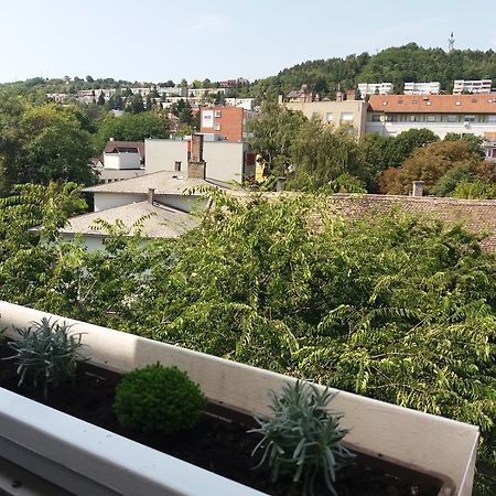 Malnas Macska Apartman Szekszárd Exterior foto