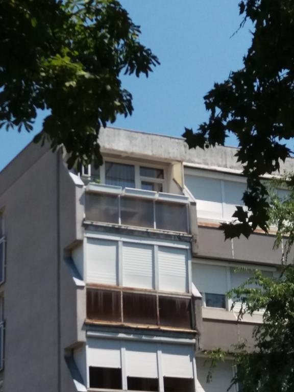 Malnas Macska Apartman Szekszárd Exterior foto