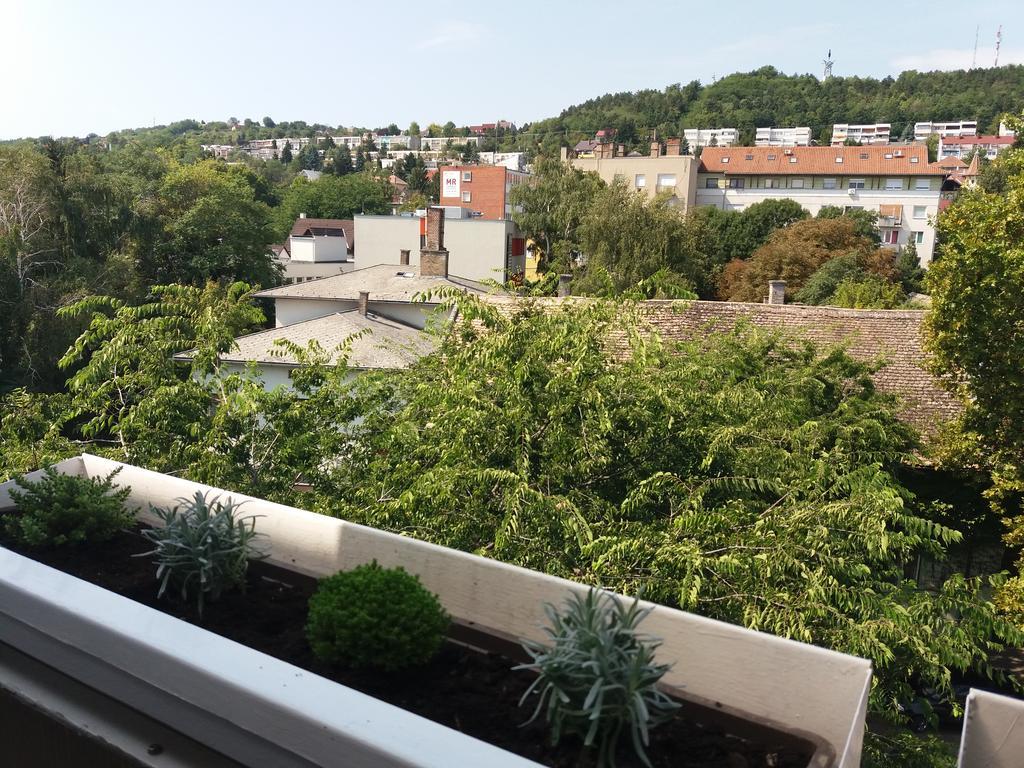 Malnas Macska Apartman Szekszárd Exterior foto