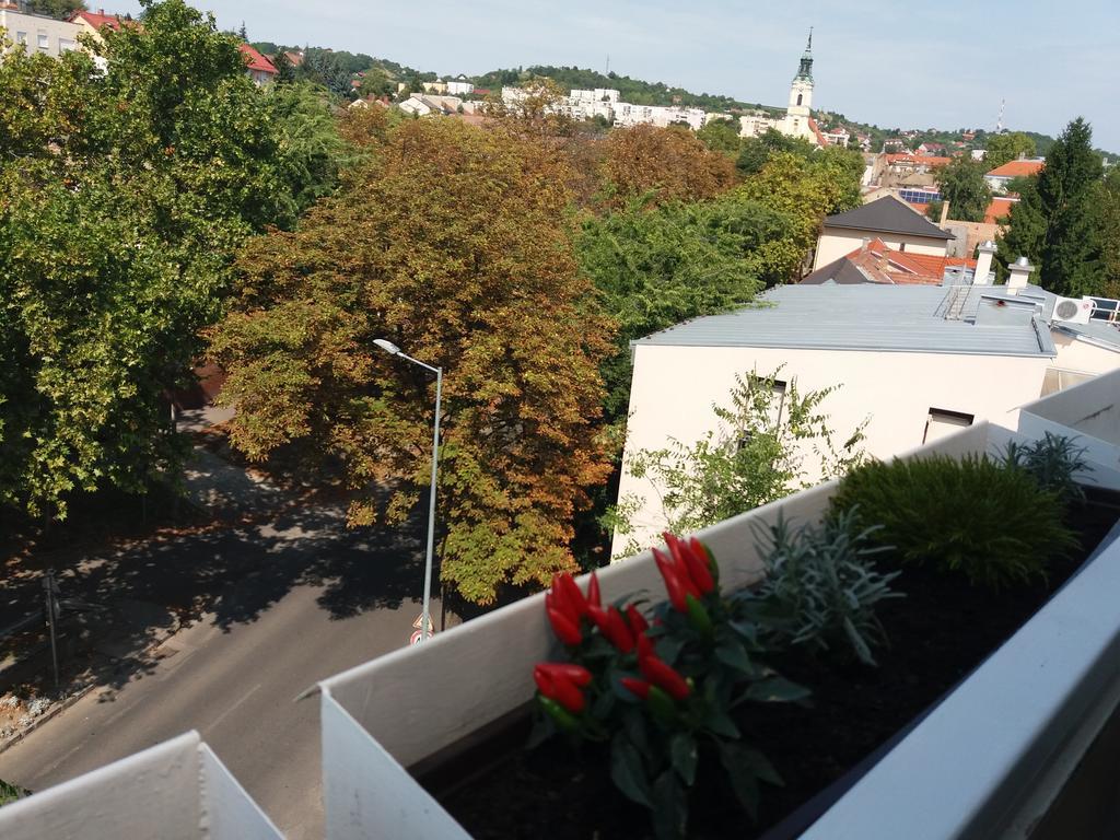 Malnas Macska Apartman Szekszárd Exterior foto